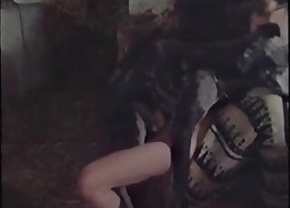 Awesome dog fuck movie with a filthy animal