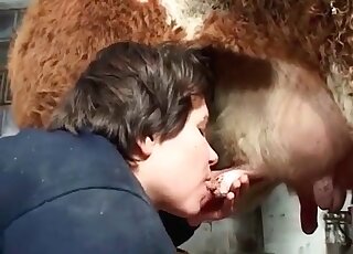 Buddy watches his better half screw a cow