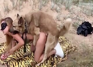 Sexy wild doggy is getting pleasure from hard fuck