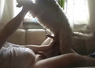 Salacious pet rides the biggest dick in the room