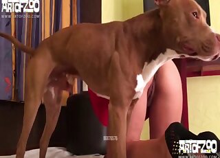 Doggy's dick is a very good gift for this hooker