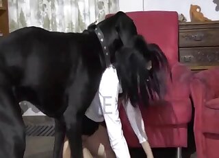 Flawless animal beast bang with a fantastic slut