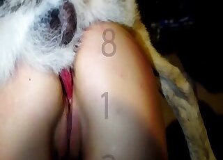 Girl and a dog are falling in love with each other - homemade animal sex 