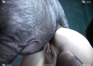 Pig cock turns that zoo pussy inside out up close