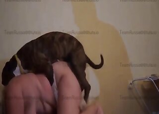 Heavy-breasted BBW getting fucked by a mutt