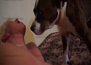 Overweight blonde wants dog penis DEEP inside her