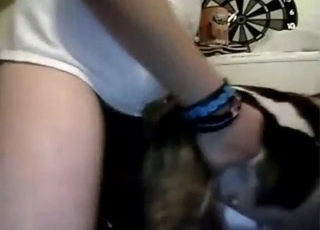 Dude drills a bulldog's sensitive pussy hole