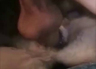 Zoophile porn with a dominant zoophile GAPING