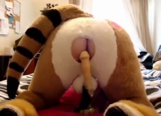 Toy play with a furry hottie who gets to cum
