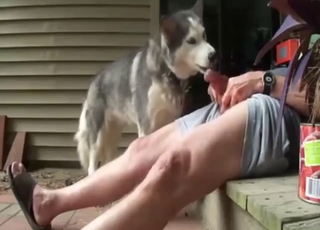 Husky with a nice tongue licking a guy's cum