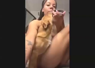 Dog using its tongue to fuck a sexy black girl