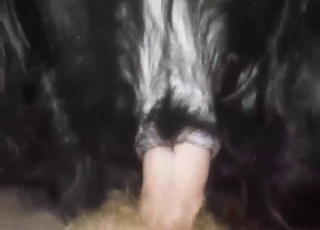 Guy pounding away at that dog's hot hole