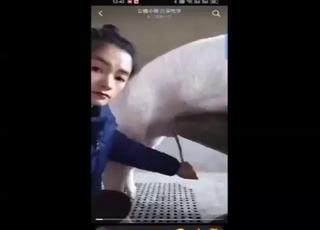 Girl from China sucking off a nice animal today