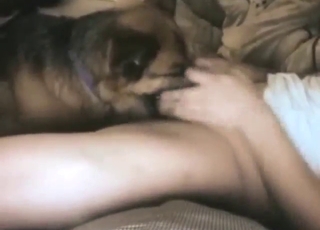 Can't resist the urge to suck real dick as a dog