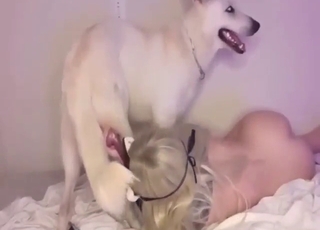 Hot blonde with a pretty face licks dog dick