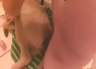 Sexed-up animal takes his full cock inside