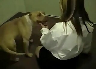 Office whore getting dirty with a dog