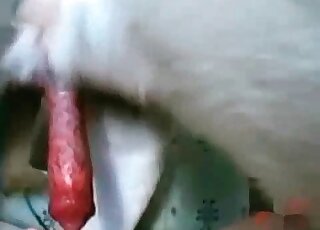 Riding meaty doggy dick in cowgirl pose