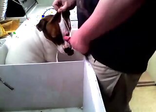 Cumming on the face of my lovely doggy on cam