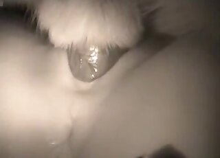 Busty wife cheat on hubby with a doggy