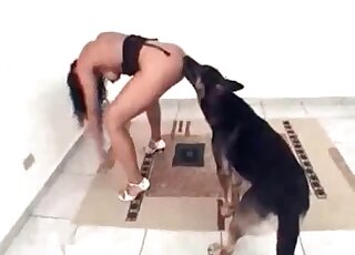 Leggy babe featured in homemade beastiality movie