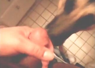 POV gay dog porn movie with a big-dicked stud