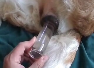 No other beastiality sites have this vid available