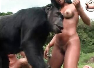 Monkey fucking a tanned bitch on cam