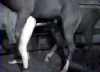 Thick booty dude getting violated on cam