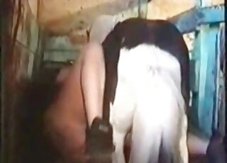 That whore gets slotted by a sexy animal