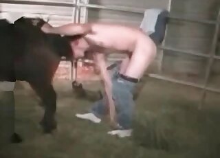 Farm-based fucking with a kinky creature in HD