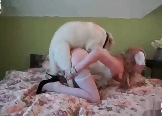 Sexy celebration with a zoophilic wife-to-be